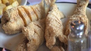 Hagy's Catfish Hotel on NPT's Tennessee Crossroads