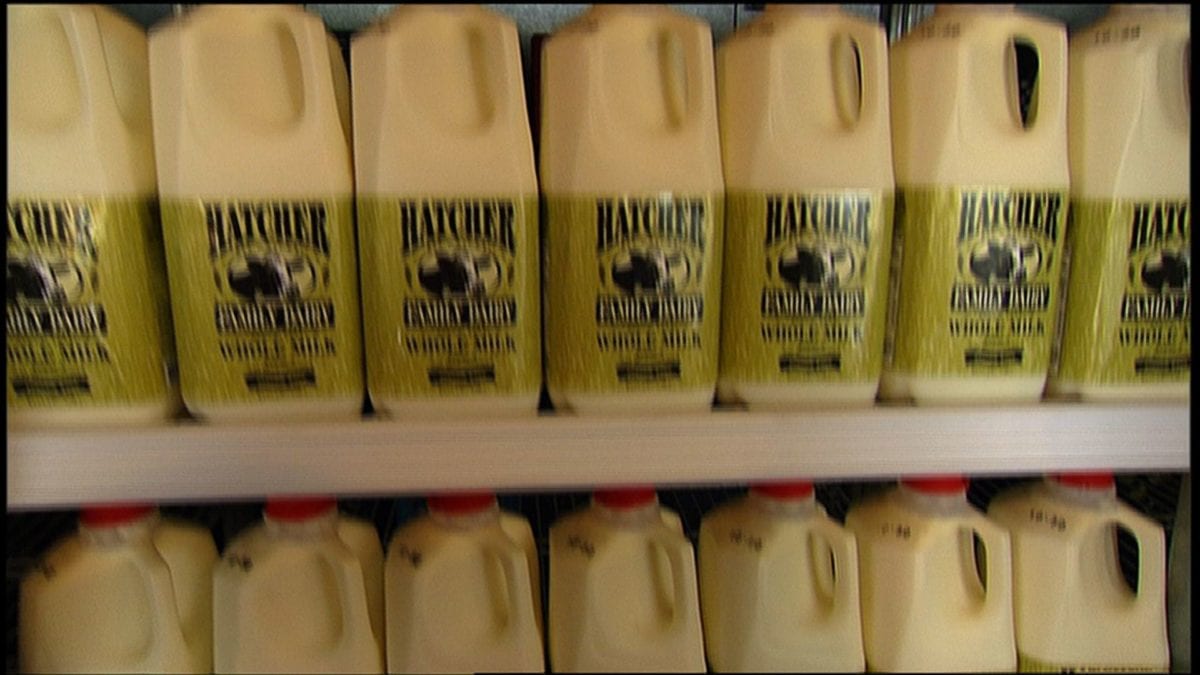 Hatcher Family Dairy on NPT's Tennessee Crossroads