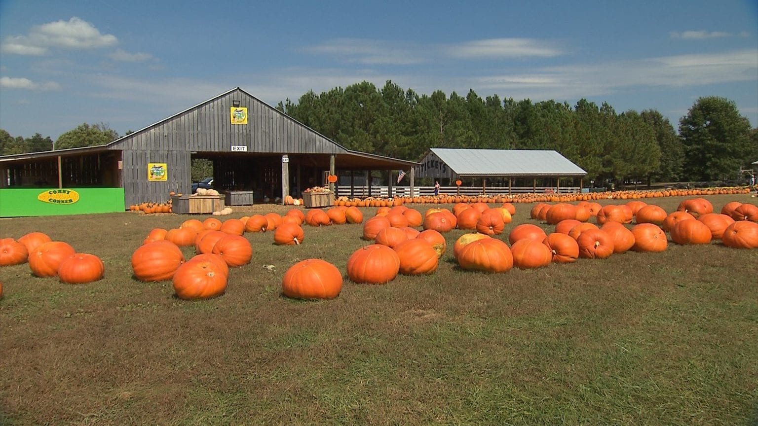 "Springfield, TN" | Tennessee Crossroads