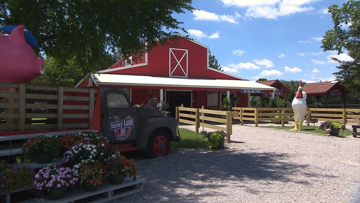Lucky Ladd Farms on NPT's Tennessee Crossroads