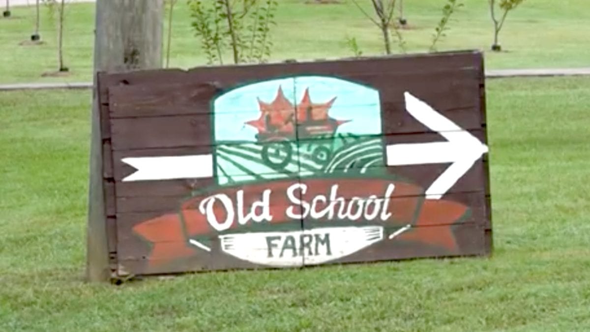 Old School Farm on NPT's Tennessee Crossroads
