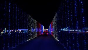 The Dancing Lights of Christmas on NPT's Tennessee Crossroads