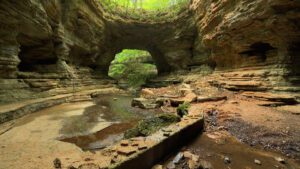 The Bridges on NPT's Tennessee Crossroads