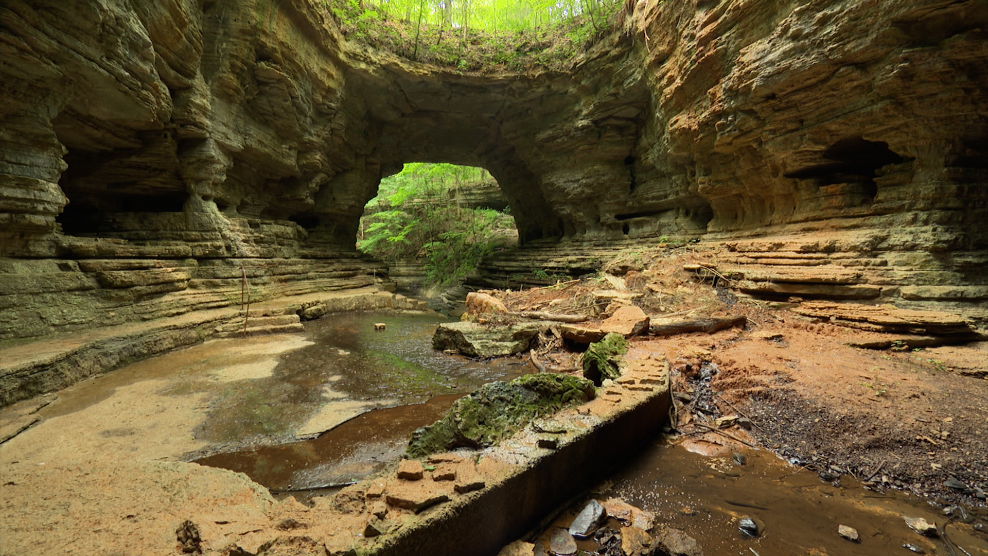 Tennessee Crossroads Nashville Pbs