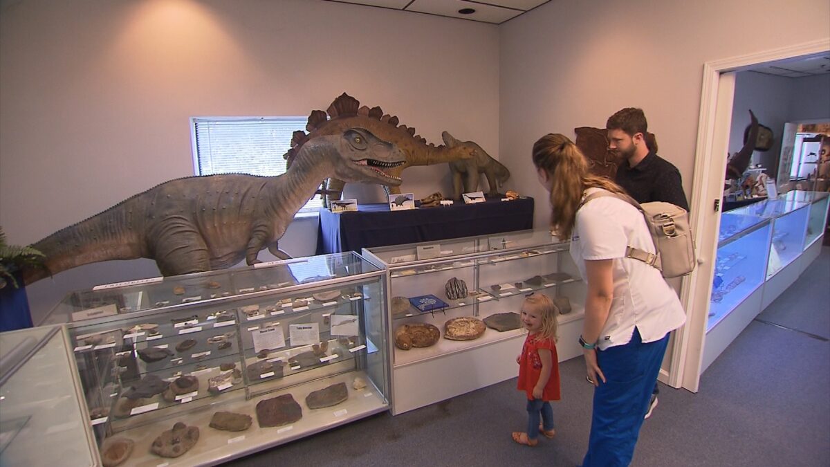 Middle Tennessee Museum of Natural History on NPT's Tennessee Crossroads