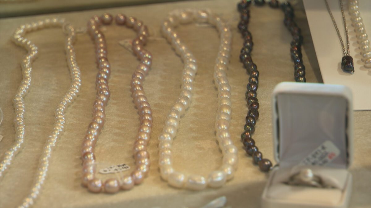 Episode 3918 of Nashville Public Television's Tennessee Crossroads