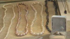 Episode 3918 of Nashville Public Television's Tennessee Crossroads