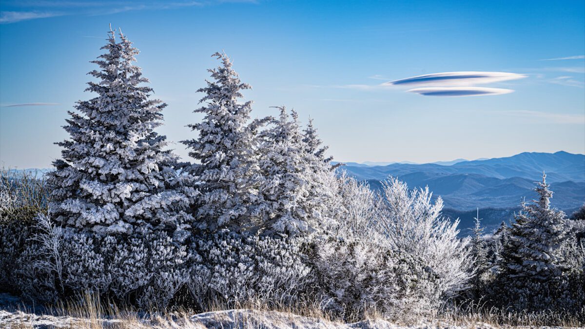 Roan Mountain State Park on NPT's Tennessee Crossroads