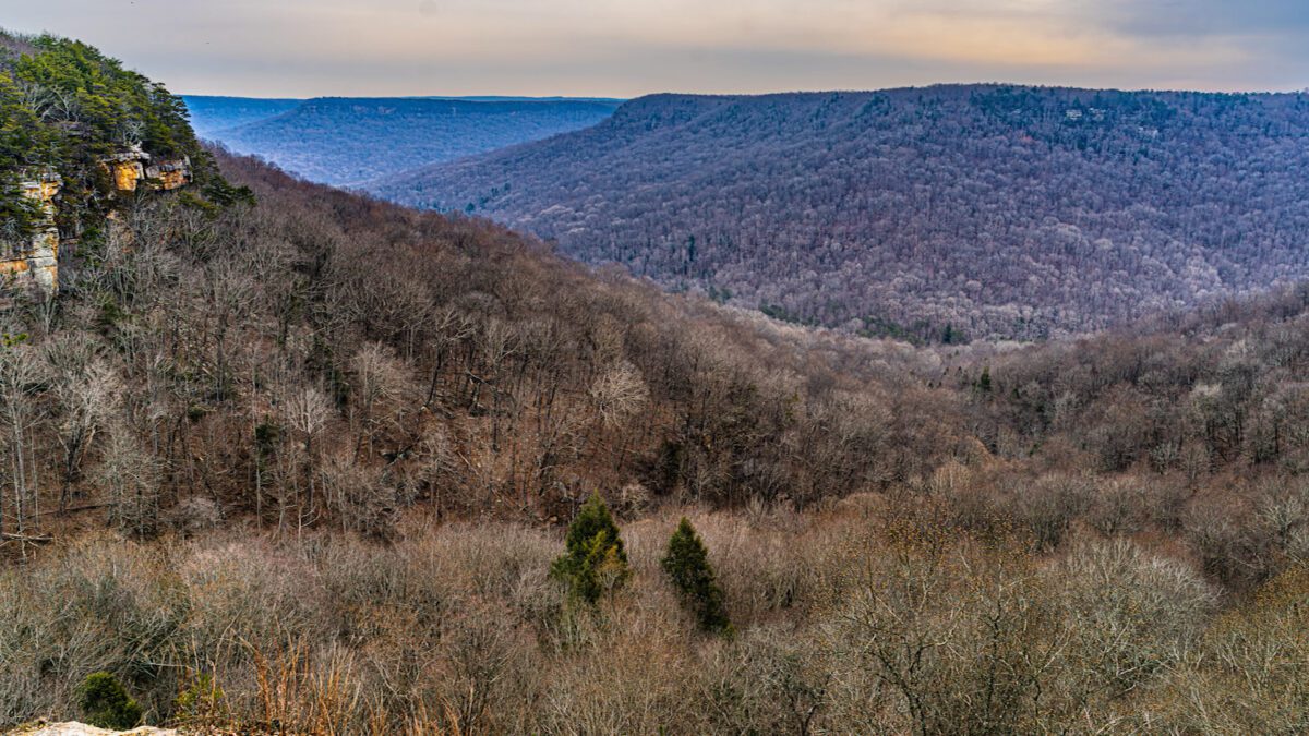 Savage Gulf State Park on NPT's Tennessee Crossroads