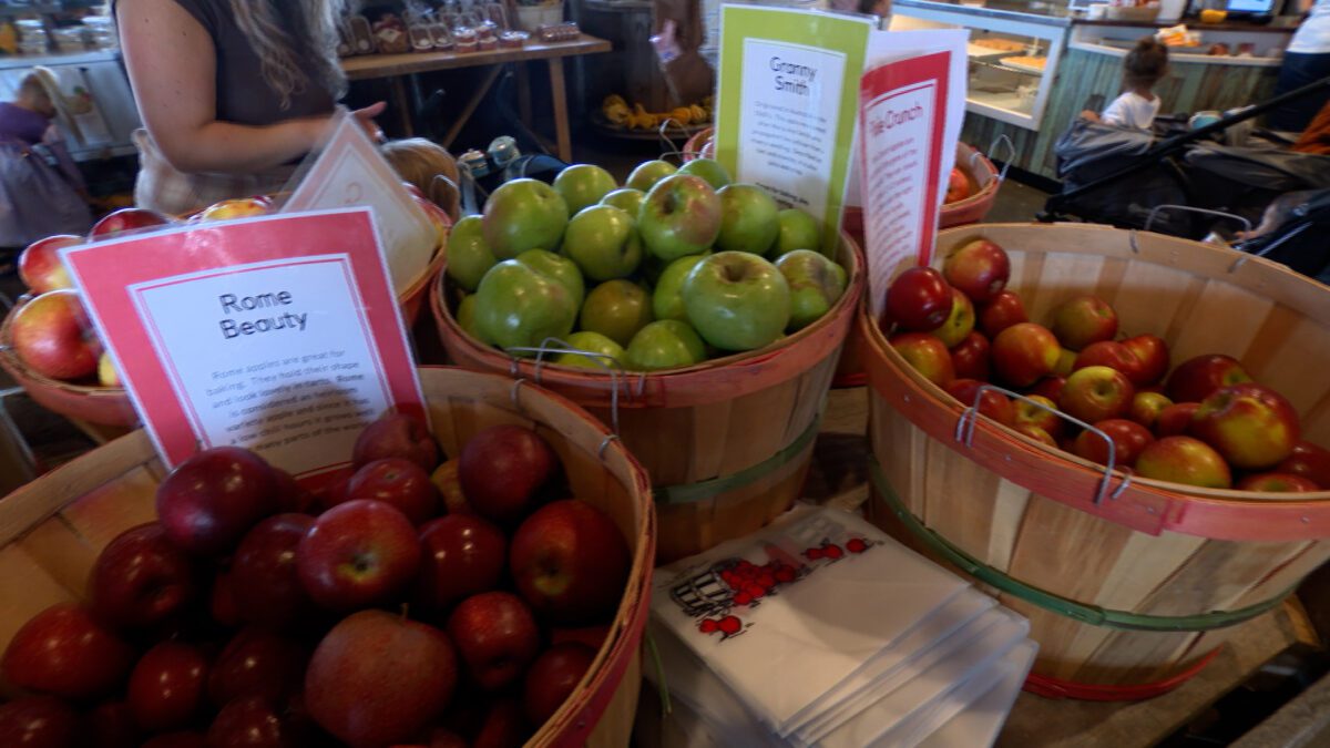 Breeden's Orchard on NPT's Tennessee Crossroads