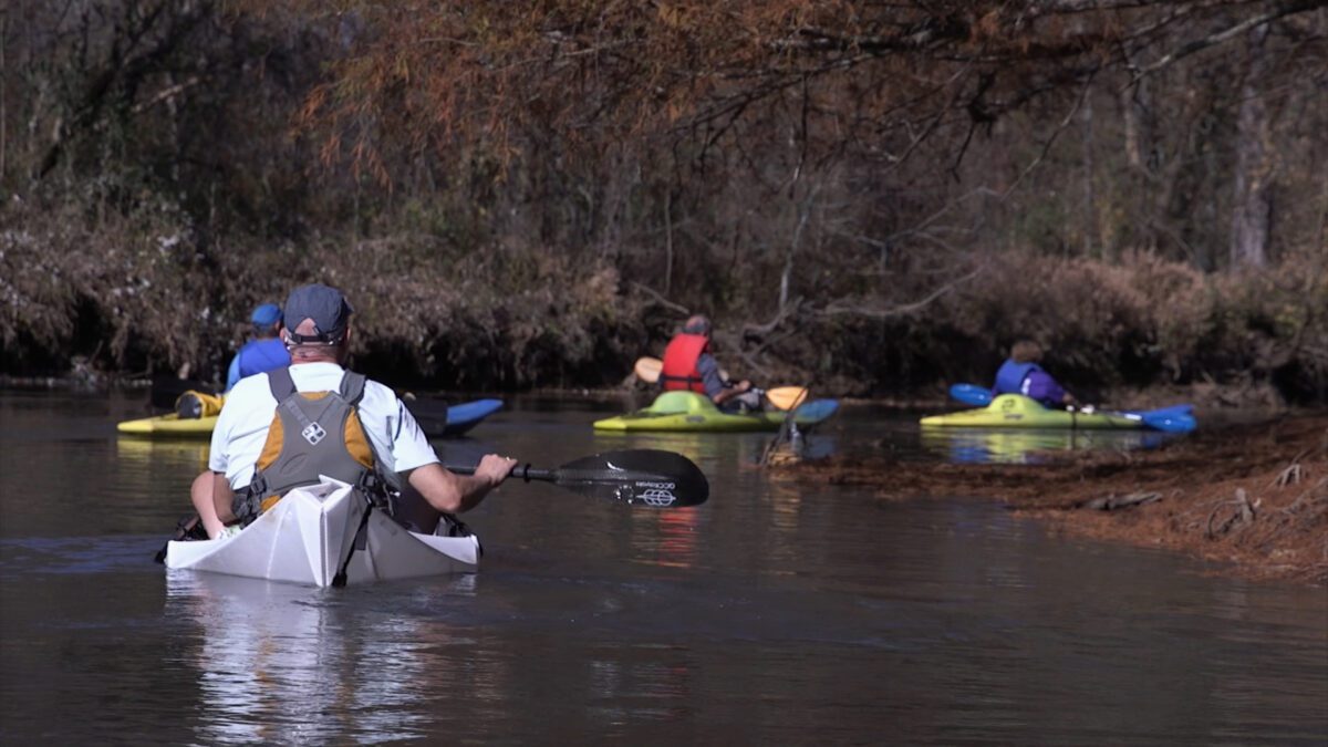 Wolf River on NPT's Tennessee Crossroads